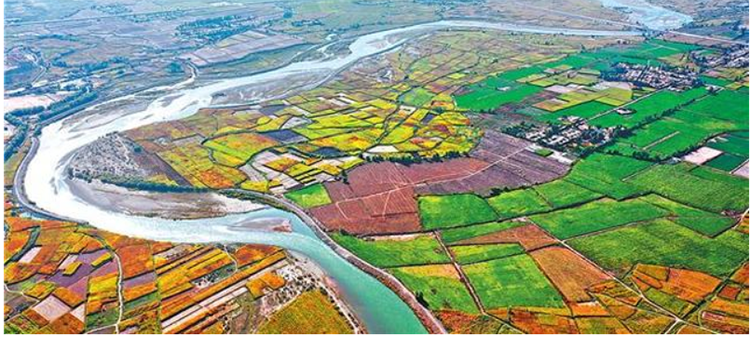 灌區實景圖 灌區實景圖