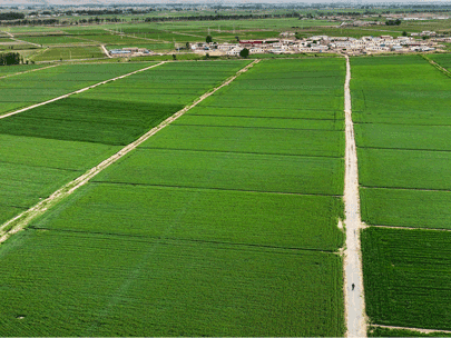 如何選擇一款經(jīng)濟(jì)高效的以電折水設(shè)備？