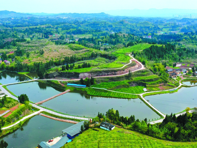 政策解讀丨2025中央一號文件中，涉及的水利內容有哪些？